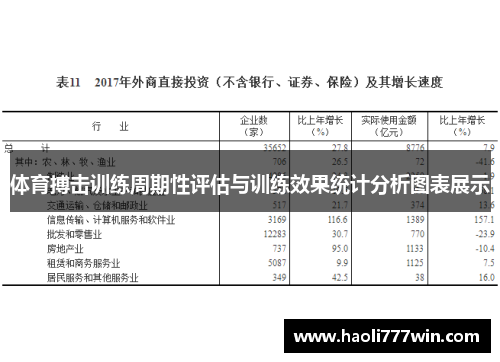 体育搏击训练周期性评估与训练效果统计分析图表展示