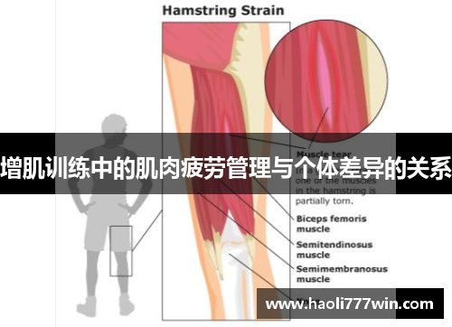 增肌训练中的肌肉疲劳管理与个体差异的关系
